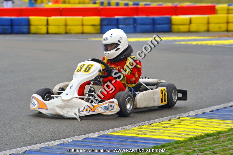 DSC_ (1068).jpg